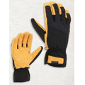 Winter Dex II Glove